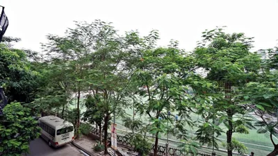 ARL Trinh Cong Son Hotel – Fotos 16